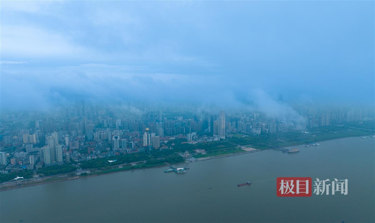 微信牛牛群